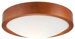 Lamkur Stropné svietidlo 1xE27/60W/230V LA32610