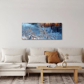 Obraz - Zimná lúka (120x50 cm)