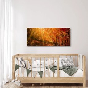 Obraz jesenného lesa (120x50 cm)