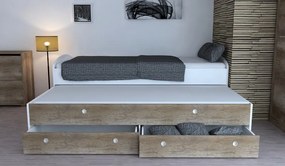 Rozkladacia posteľ Patrik Color 90x200 cm, biela/dub canyon