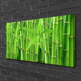 Obraz na plátne Bambus stonka kvet rastlina 125x50 cm