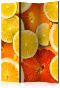 Artgeist Paraván - Citrus fruits [Room Dividers]