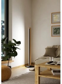 Eglo 99296 - LED Stmievateľná stojacia lampa CAMACHO LED/22W/230V