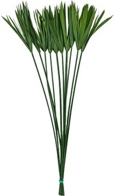 Stabilizovaná rastlina Papyruss bunch (10 pcs) 85 cm