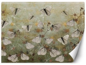 Gario Fototapeta Motýle na pozadí starej steny Materiál: Vliesová, Rozmery: 200 x 140 cm