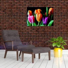 Sklenený obraz tulipánov na čiernom pozadí (70x50 cm)