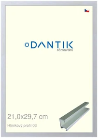 DANTIK rám na obraz 21x29,7 | ALU Stříbrná matná (Sklo Čiré)