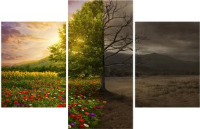 Obraz - Kolobeh života (90x60 cm)