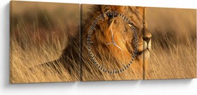 Obraz - Národný park Etosha (s hodinami) (90x30 cm)