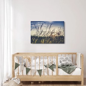 Obraz lúčnych kvetov (90x60 cm)