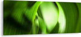 Obraz - Steblo trávy (120x50 cm)