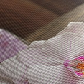 Obraz - Sviečka a orchidey (70x50 cm)