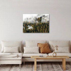 Obraz lesa v mrakoch (70x50 cm)