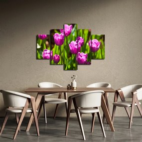 Obraz tulipánov na lúke (150x105 cm)