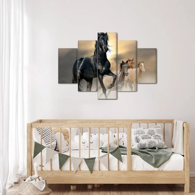 Obraz - Kone (150x105 cm)