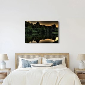 Obraz jazera pri lese (90x60 cm)