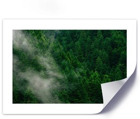 Gario Plagát Hmla nad lesom Farba rámu: Bez rámu, Veľkosť: 30 x 20 cm