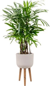 Refined Retro with feet Logan natural white 36x63 cm