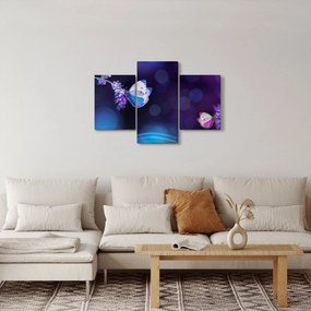 Obraz - Motýle na levanduli (90x60 cm)