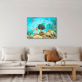 Sklenený obraz podmorského sveta (70x50 cm)