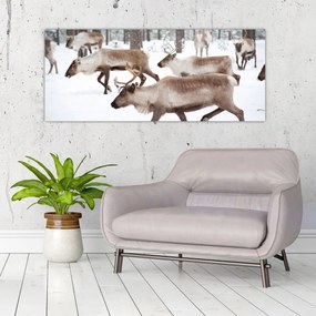 Obraz - Soby (120x50 cm)