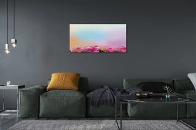 Obraz canvas kvety neba 140x70 cm