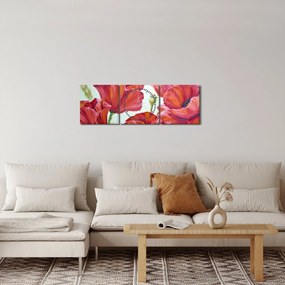 Obraz - Kvety vlčích makov (s hodinami) (90x30 cm)