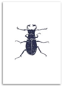 Gario Obraz na plátne Čierny chrobák Rozmery: 40 x 60 cm