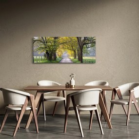 Obraz - Smoky Mountains, Gatlinburg, USA (120x50 cm)