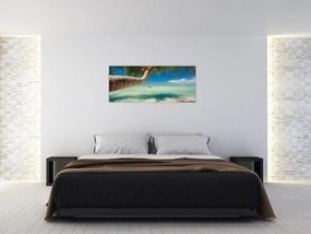 Obraz - Čisté more s palmou (120x50 cm)