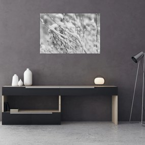 Obraz - Zasnežené vetvy (90x60 cm)
