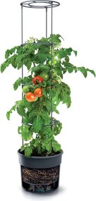 Kvetináč na pestovanie paradajok GROWER antracit