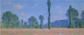 Obraz - Claude Monet, Poppy Field (Giverny), reprodukcia (120x50 cm)
