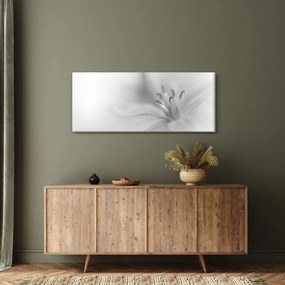 Obraz - Jemná ľalia (120x50 cm)