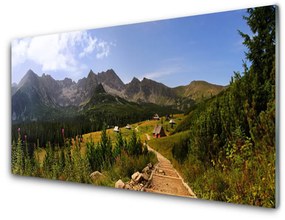 Sklenený obklad Do kuchyne Hala góry droga natura łąka 100x50 cm