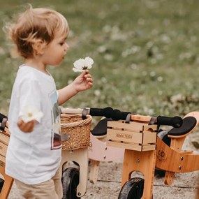 Drevené balančné odrážadlo Tiny Tot Plus 2v1 drevená