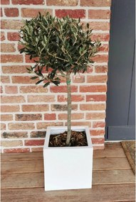 Kvetináč BLOCK, sklolaminát, 30x30x30 cm, biely mat