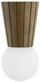 Argon 8974 - Kúpeľňové stropné svietidlo VOLANTE 1xG9/6W/230V IP44 pr. 12 cm hnedé