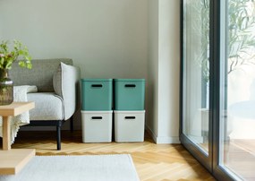 Rotho Úložný box, rovný s víkom, 27l, matná zelená ALBU LIGHT, 37x29x30