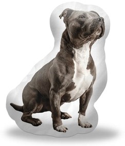 Sablio 3D vankúš Amstaff