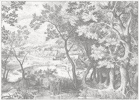 Vliesová tapeta Engraved Landscapes