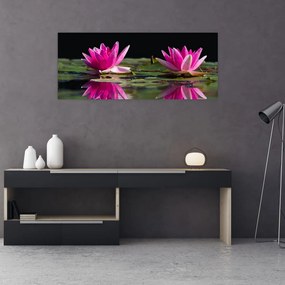 Obraz lekien na vode (120x50 cm)