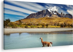 Obraz - Národný park Torres del Paine (90x60 cm)