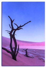 Obraz na plátne - Mŕtvy strom v dunach - obdĺžnik 7130FA (75x50 cm)