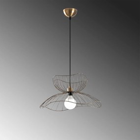 Farac - 6381