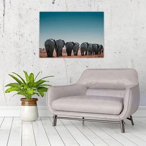 Sklenený obraz - Odchod slonov (70x50 cm)