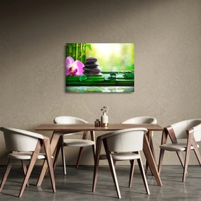 Sklenený obraz masážnych kameňov a orchidey na vode (70x50 cm)
