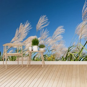 Fototapeta Vliesová Japonská tráva 152x104 cm