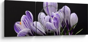 Obraz - Fialové krókusy (s hodinami) (90x30 cm)