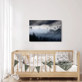 Obraz hmly nad lesom (90x60 cm)